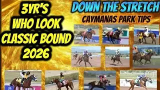 Caymanas park tips,  a look at 3yr's that are possibly classic bound 🇯🇲