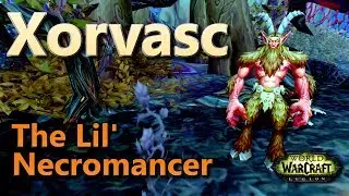 Xorvasc The Lil' Necromancer Family Familiar World Quest Dealing With Satyrs