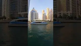 Dubai 🇦🇪 RTA Boat | #shorts