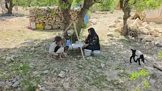 Making local doogh and traditional butter | House building and daily nomadic life