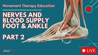 Plantar heel pain may be a NERVE not the fascia!