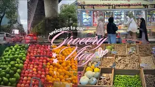 VLOG #1 | Grocery Run with the girls! 🛒 ✨