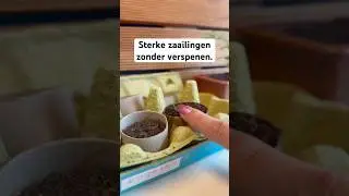 Slim zaaien in wc-rollen 🌱 #moestuin #zaaitips