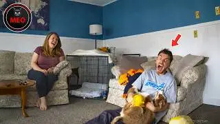 People Failing Hilariously | Moments when Things Went Wrong | BEST OF MONTH