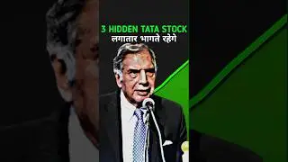 The Best Hidden Tata Stocks of 2024 🔍#pannystocks