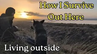Coastal Foraging  - Homeless but Happy