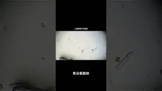 MSG   MSG and chicken essence which is better health science microscope chicken essence