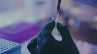 Online &scaron;kola biotehnologije   PCR metoda i gel elektroforeza   BioConnection