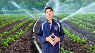 Irrigation system in India 🥰🥰🥰Presentation types and method s