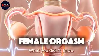Female Orgasm Under The Microscope, What Really Goes On