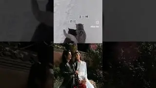 zhanyi moments #wangxiyan #zhanyi #xianwang #yizhan