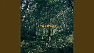 Little Stings