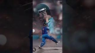 MSD the legend