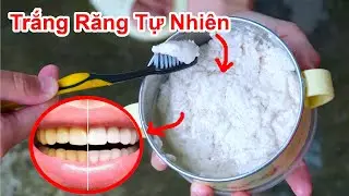 C&aacute;ch L&agrave;m Trắng Răng Nhanh Ch&oacute;ng Từ Kem Đ&aacute;nh Răng Thảo Dược Tự Nhi&ecirc;n / L&agrave;m Kem Đ&aacute;nh Răng Từ Tr&aacute;i Dừa