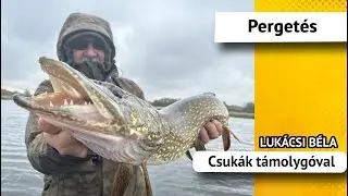 Csukák támolygóval - Lukácsi Béla