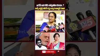 జగన్ కు బాక్స్ బద్దలై పోయే రిప్లై ఇచ్చిన మినిస్టర్ సవిత 🔥 #ysjagan #appolitics #apnews #gallamadhavi