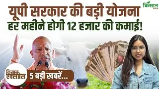 Kisan Express | छुट्टा पशुओं से किसानों को मिलेगी बड़ी राहत, हर महीने 12 हजार कमा सकेंगे किसान!