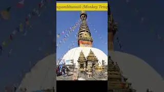 Nepal 🇳🇵 #travel #reels #real #religion #culture #love #green#vlog
