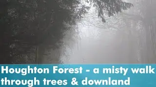 Atmospheric misty walk from Bury Hill to Bignor Hill and Houghton Forest