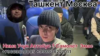 москва  тошкент автобуС