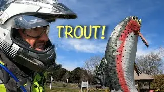 Suzuki DR650 Motorcycle Adventure Ride from Canberra to Adaminaby - Bobyan and Yaouk Rd Loop
