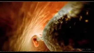 WHY 10X PURE CBD OIL?