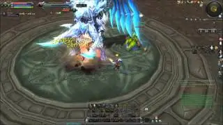 Aion 4.9 - Miren Barracks Boss fight Duo w/o heals (Team Poco)