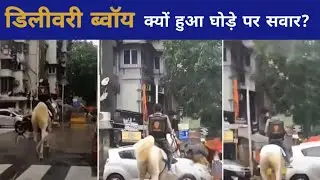 Swiggy Delivery Boy On Horse || Swiggy Delivery Boy Viral Video || घोड़े पर फूड डिलीवरी