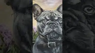 My Realistic Oil Painting of a Lilac French Bulldog / Frenchie.