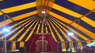 Single trapeze / aerialst / performer 🎪😍🎪 #circus #circusacts #trapeze #circusartist
