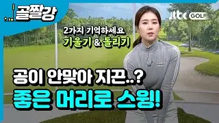 좋은 머리로 스윙하기 - 류가형 프로