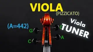 Viola Tuner - Standard Tuning (Pizzicato) (A=442)