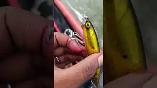 fishing accident