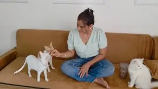 Happy makarsankranti aap sabhi ko 🙏