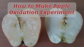 How to Make Apple Oxidation Experiment