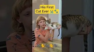 Kid Holds a Street Cat for the First Time in T&uuml;rkiye 😭🐾 | Germany to Turkey Travel #шортс #влог#like