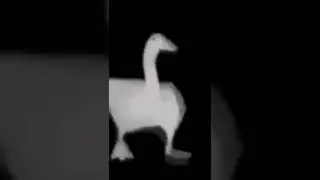 Old Goose