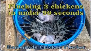 Homemade Chicken Plucker - plucking 2 chickens at the same time