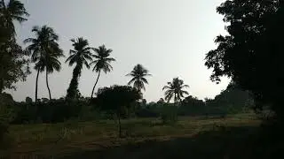 Natural Effect