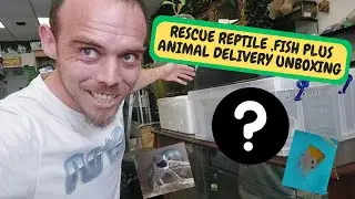 Another Reptile Rescue And A Fish Rescue Plus Animal Delivery Unboxing #reptiles #unboxing #rescue