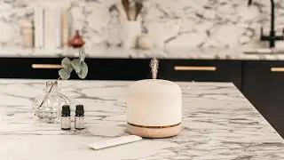 The Wellbeing Pod Luxe