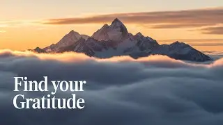 Gratitude in hard times  How to stay thankful when life feels heavy