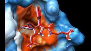 Homology modeling, validation, and docking of the protein. Live session with questions and answers.