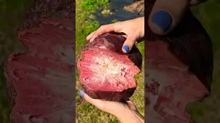 Ripe Red Custard Apple Ramphal Cherimoya