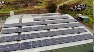 Commercial Rooftop Solar System Installation in Dairy Farm in Bete Bolong Australia | Start Solar