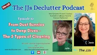 Episode 42- From Dust Bunnies to Deep Dives: Five Types of Cleaning