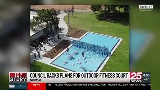 &rsquo;Ultimate wellness hub&rsquo; or &lsquo;adult jungle gym&rsquo; - Council backs plans for outdoor fitness court in...
