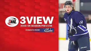 3View: Minnesota Moose