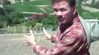 One Acre Napa Valley - Yountville AVA - Episode #1 Vineyard Layout