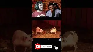 We Are Super Pigs???? | Split Fiction | Captain Playz | #shorts #splitfiction